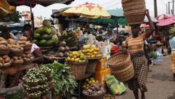 Nigeria missing in list of African countries with the worst inflation rates in 2023