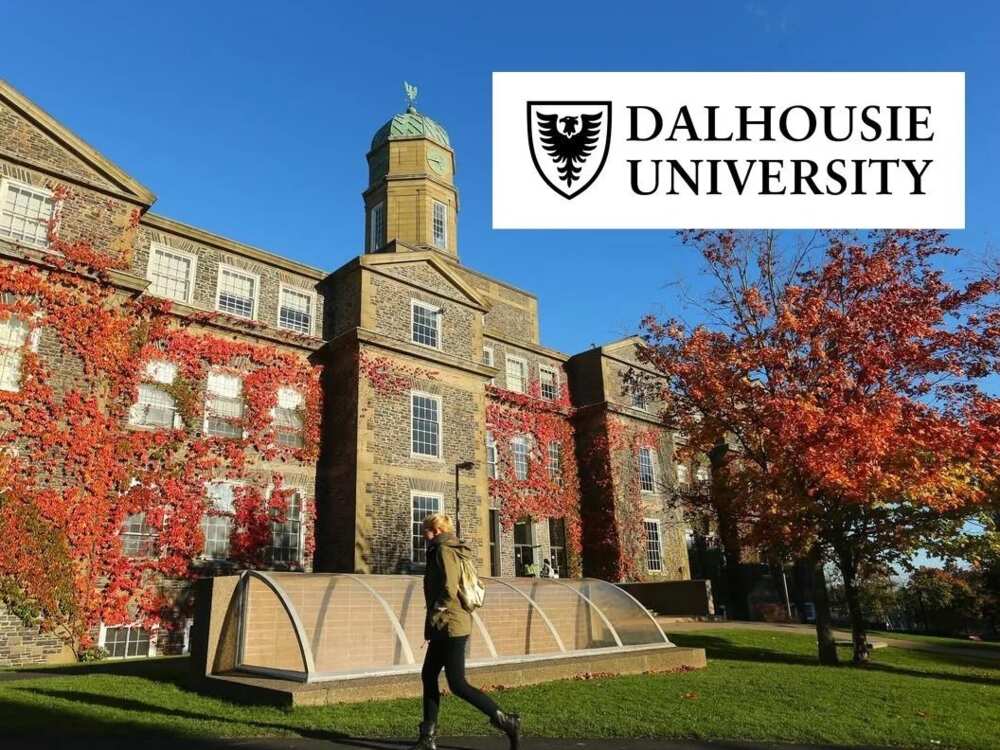 Dalhousie University