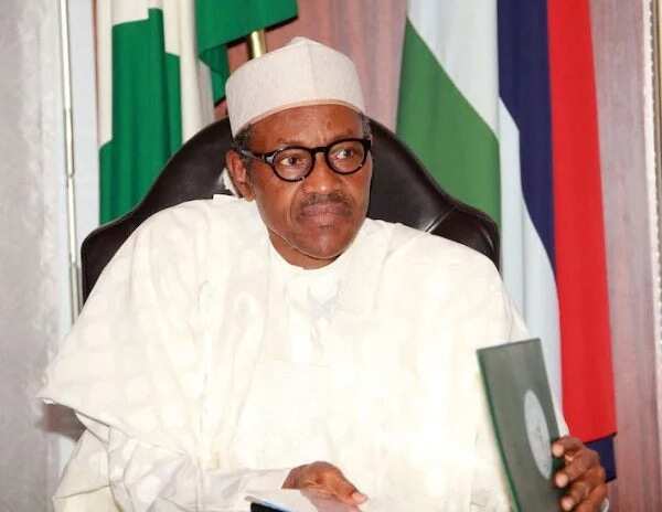 Afenifere berates President Buhari over shoot-on-sight order