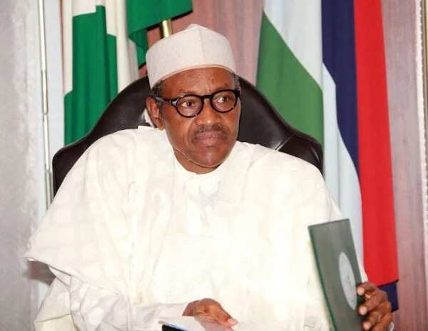 Why I didn't support Buhari's presidency, Yakasai finally opens up