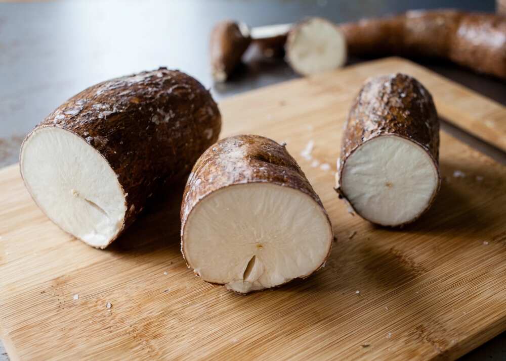 Cassava crop