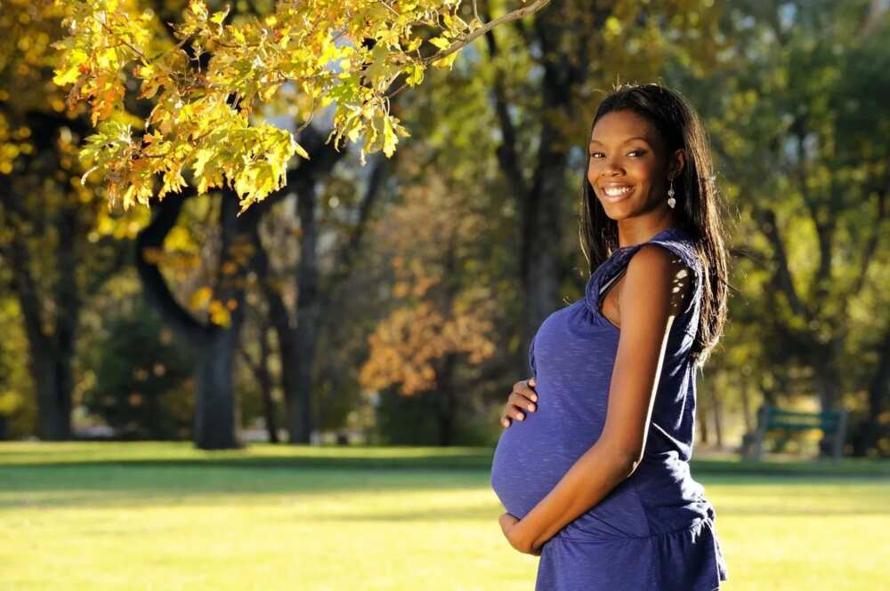 Can bitter leaf abort pregnancy?