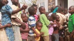 Tragic: 450 children confirmed dead in Borno