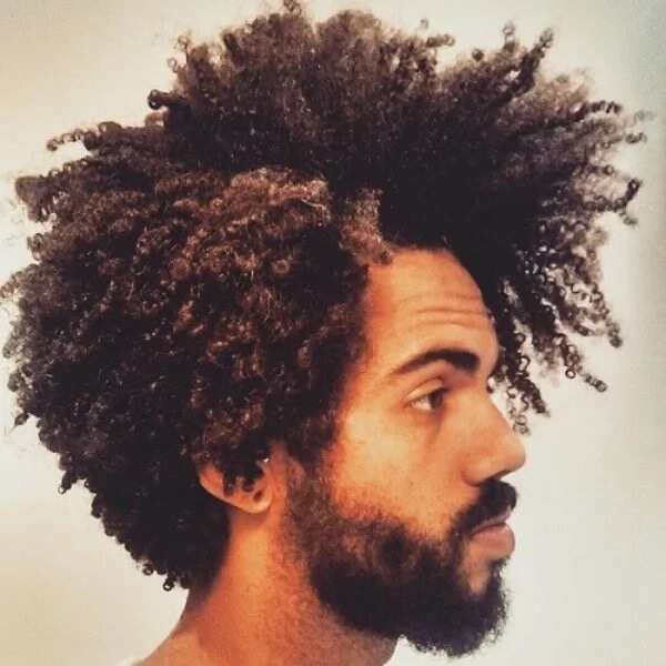 Black Men Afro Hairstyles