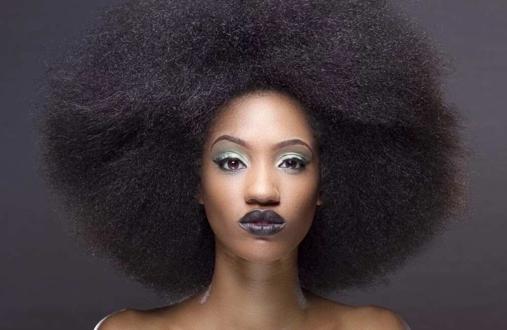 Dija Biography Dija Biography