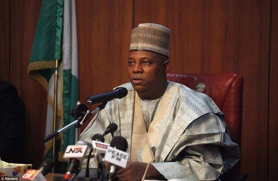 Ba zan sanya baki a zaben fid da gwani na gwamna ba – Gwamna Shettima