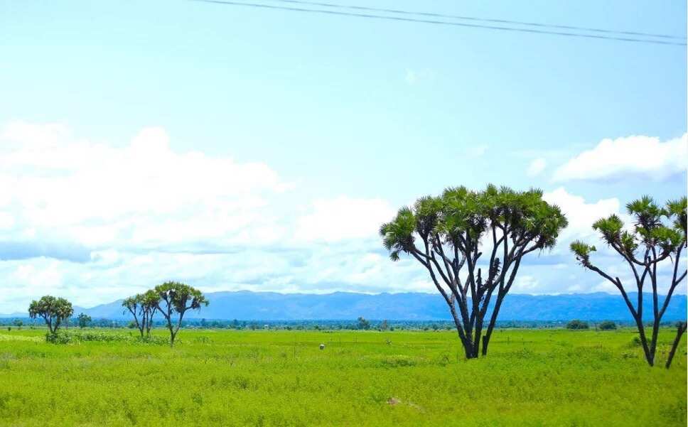 12 absolutely beautiful pictures of Northern Nigeria you should see ...