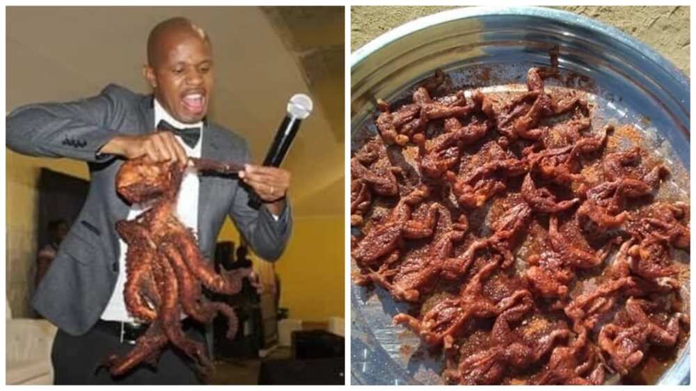 Snake pastor feeds his congregation dog meat and frogs to heal HIV and cancer