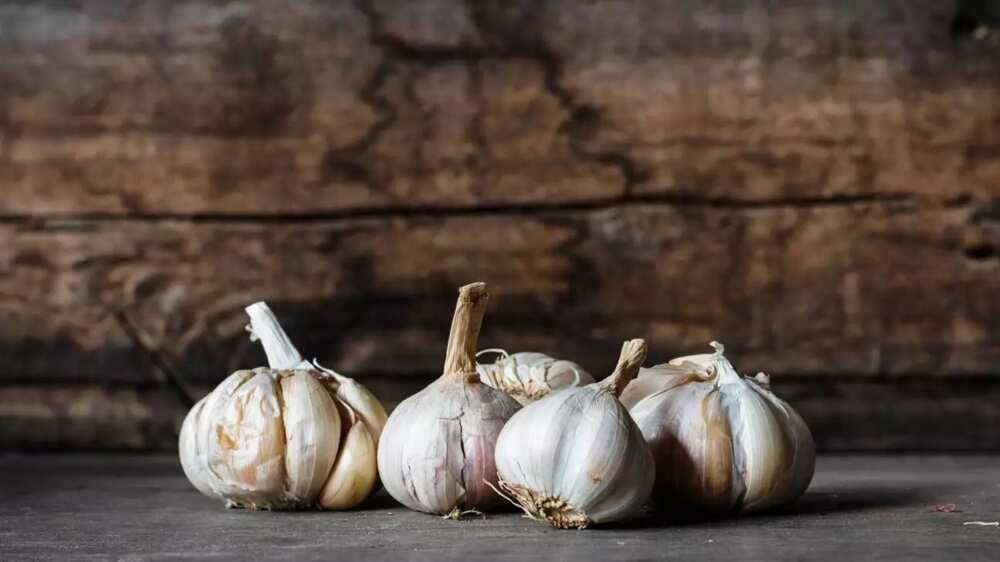 garlic heads