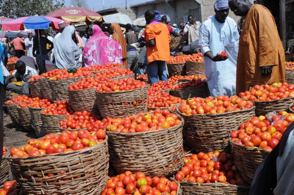 Top 10 Foodstuff Markets In Lagos