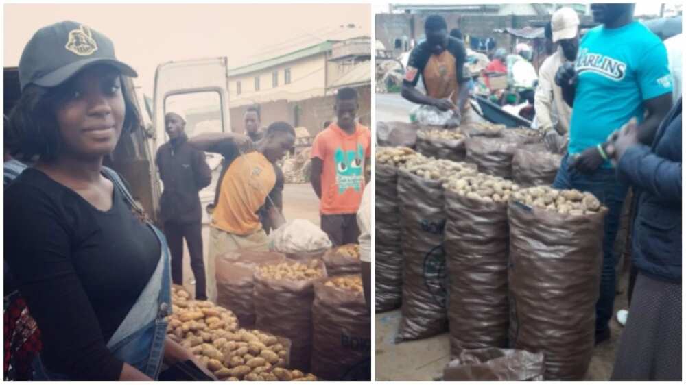 Meet beautiful Nigerian graduate who sells Irish potatoes for a living in Plateau (photos)