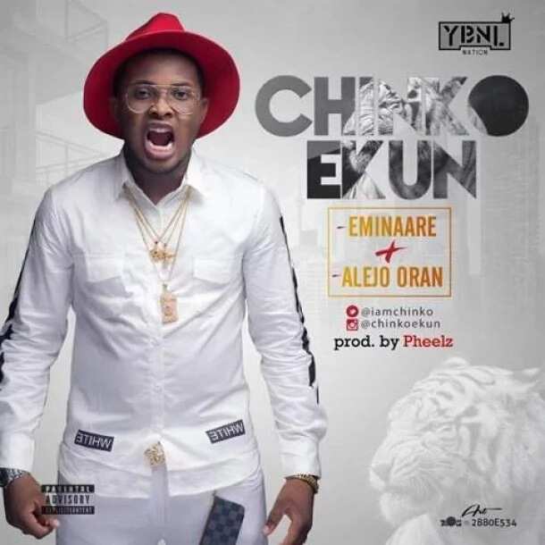 Cover art of Chinko Ekun's singles