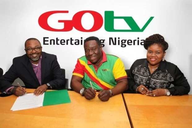 GOTV customer care number