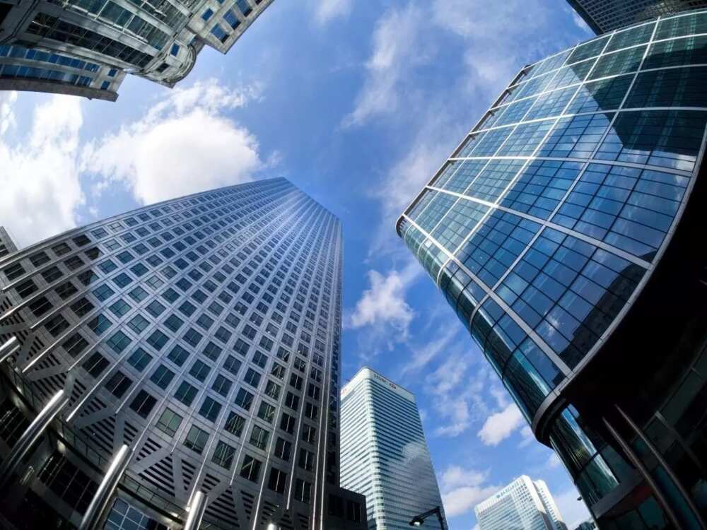 Company Company