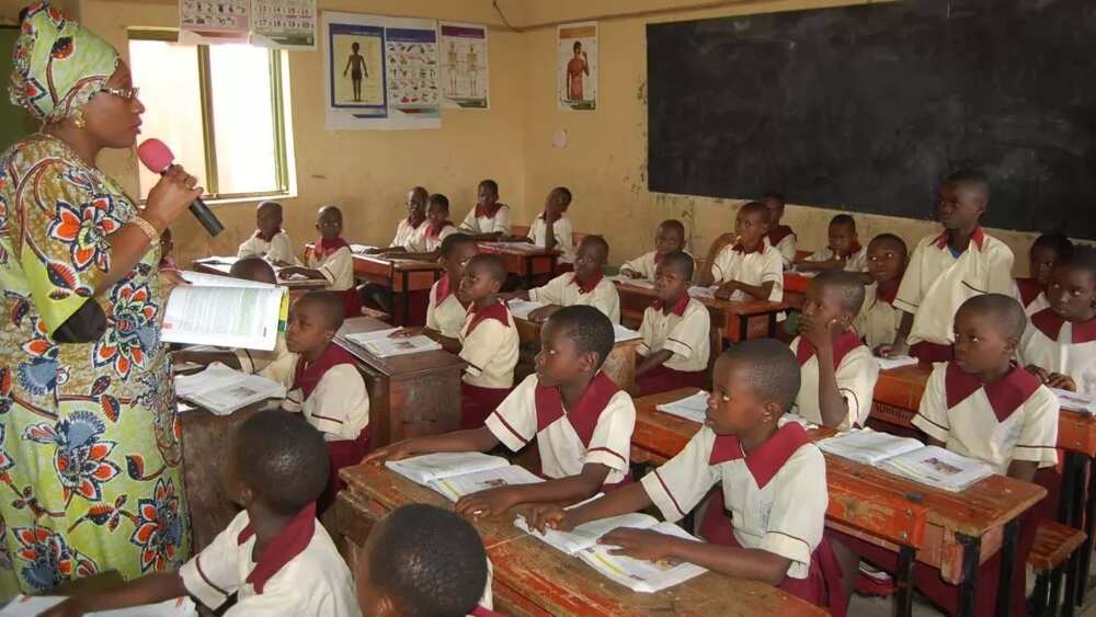 how-nigeria-s-middle-class-work-for-private-schools-by-tope-fasua