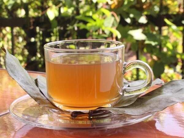 soursop leaves tea on table