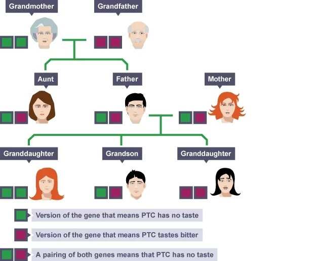 importance-of-family-traits-and-how-they-will-affect-your-children-legit-ng