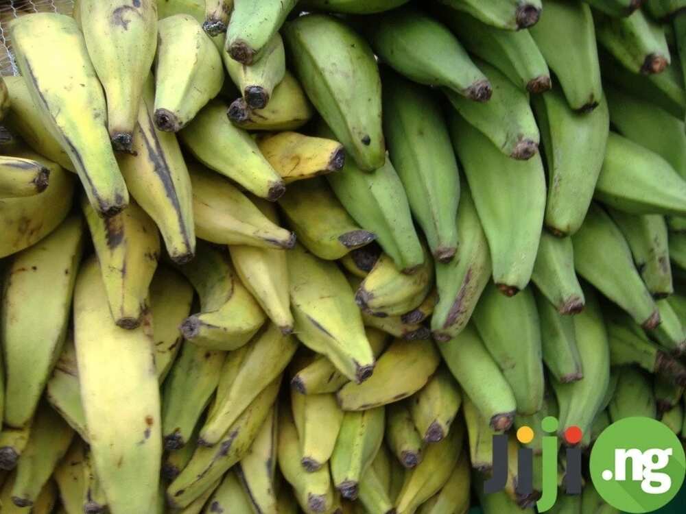 Top 11 easily accessible foods that are great for you Top 11 easily accessible foods that are great for you