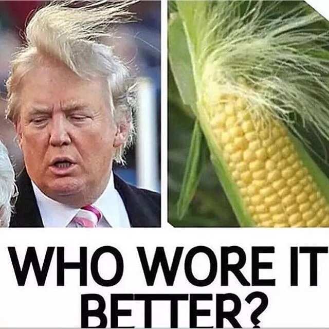 Meme about Donald Trump's haircut