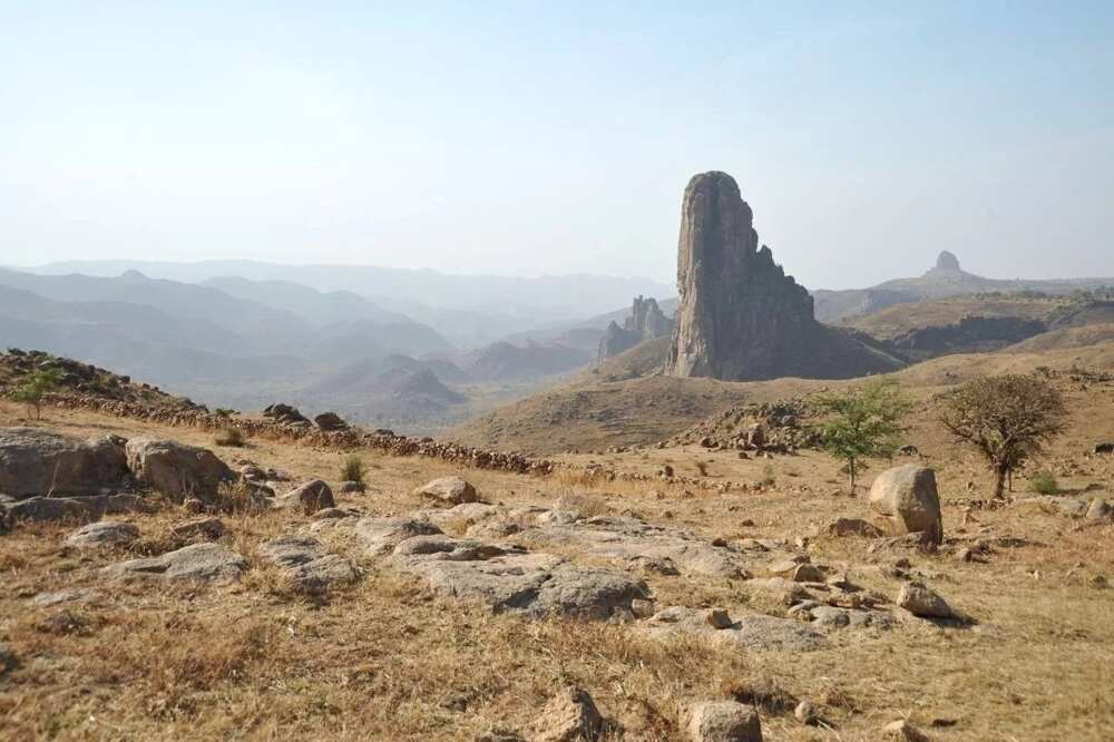 Three major types of vegetation in Nigeria, mountains Three major types of vegetation in Nigeria, mountains