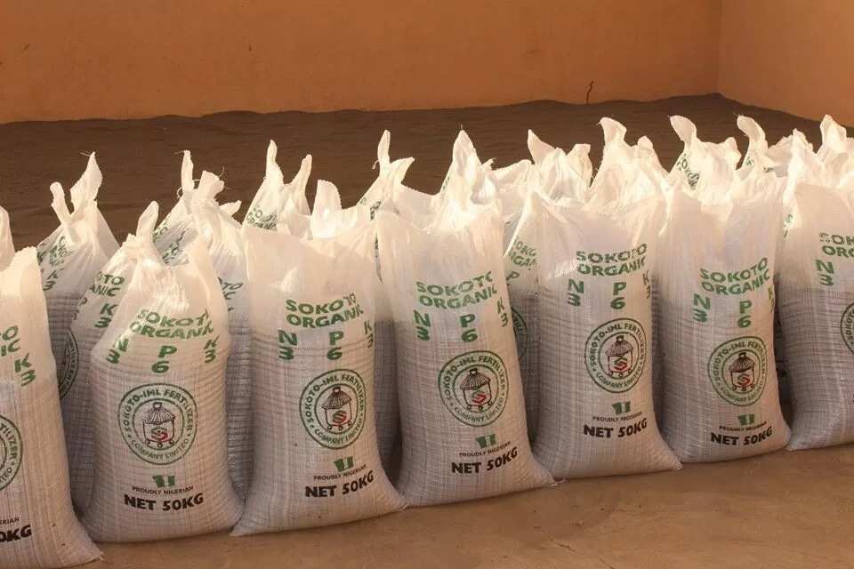 Ayyukan 10 da gwamnatin Sakwato ta kaddamar a ranar demokradiyya (Hotuna) Ayyukan 10 da gwamnatin Sakwato ta kaddamar a ranar demokradiyya (Hotuna)