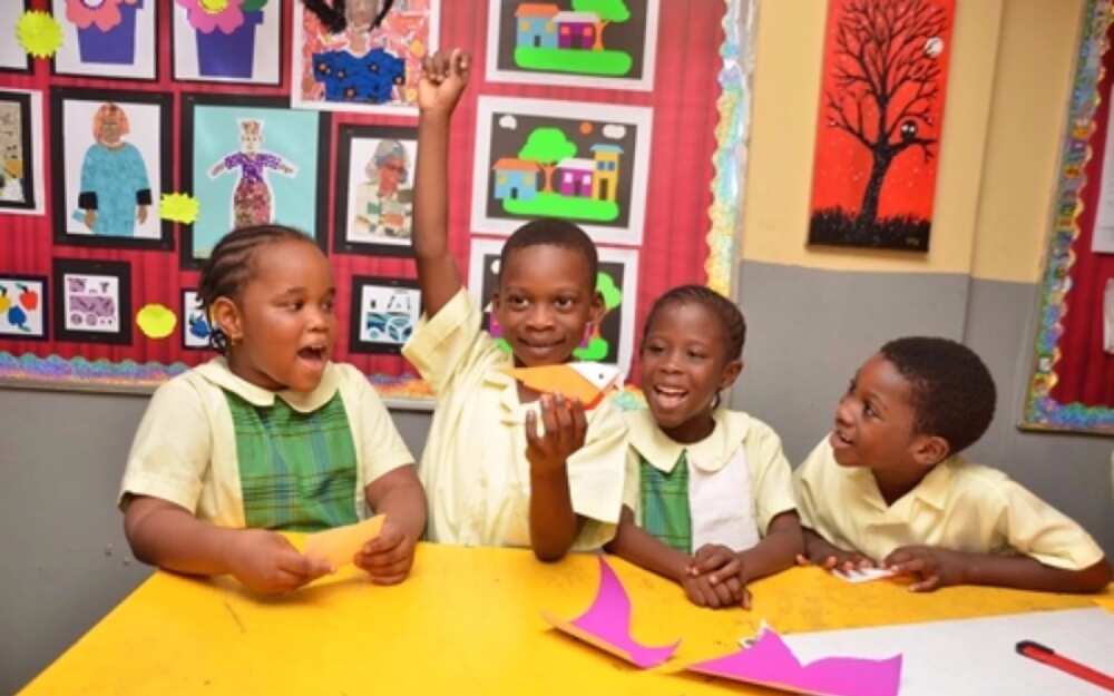 INVESTIGATION: Why Nigerian elitist schools prefer British education curriculum over Nigeria system