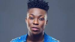 Private life and career of Lil Kesh