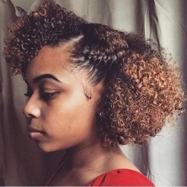 Black Natural Hairstyles For Medium Length Hair