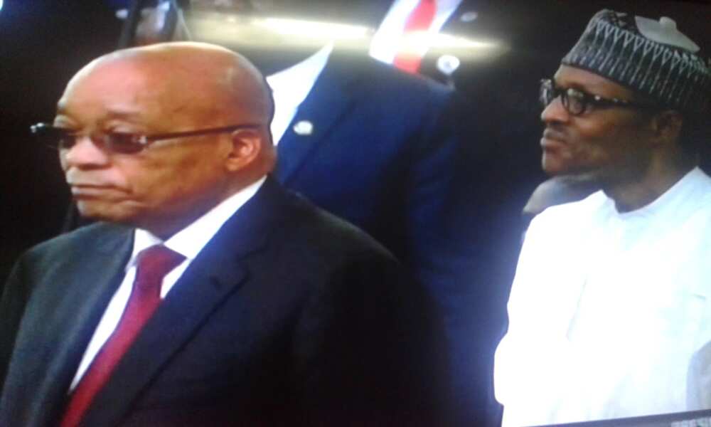 Zuma extols virtues of Buhari in fight against apartheid