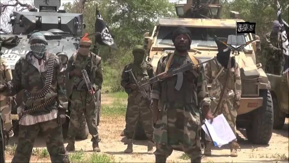 7 Feared Dead As Fleeing Boko Haram Terrorists Attack Yobe