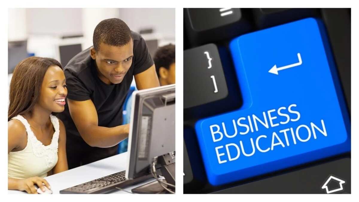 What is business education and why do you need it ▷ Legit.ng
