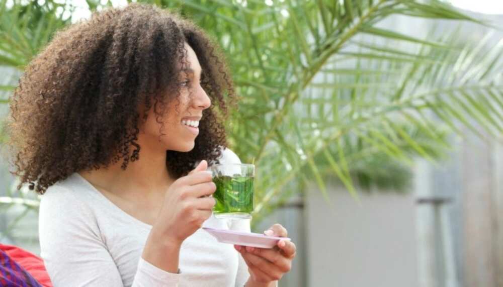 Soursop leaf tea for weight loss
