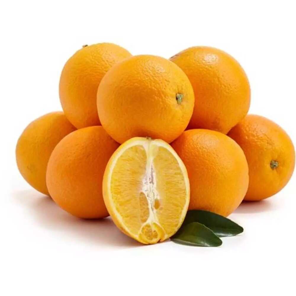 navel orange