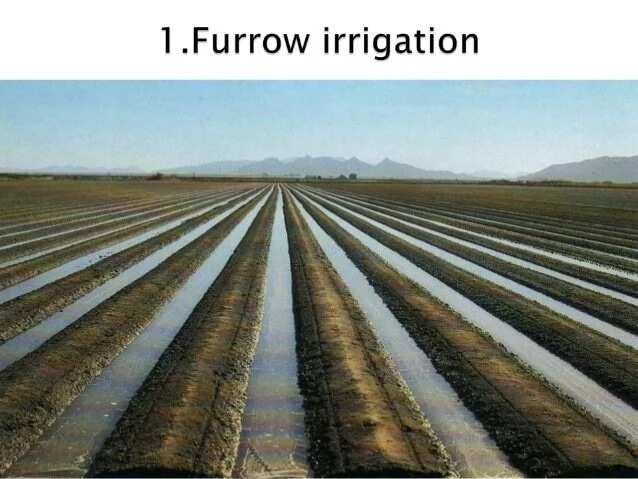 Irrigation farming in Nigeria