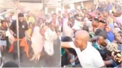 Several injured in stampede in Lagos as hungry Nigerians fight over free food (video)