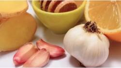 Top facts about the effect of ginger and garlic on the human body