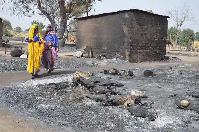 Boko Haram terrorists attack Borno village kill 3