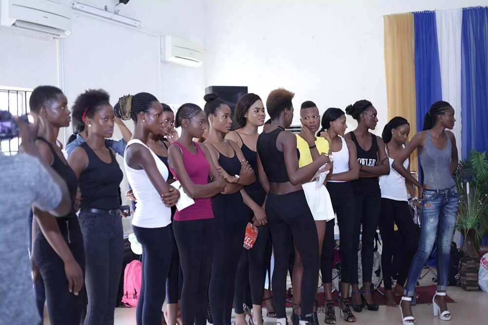 Models in training Models in training