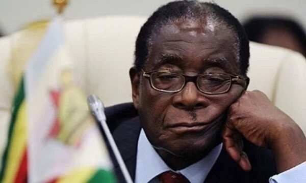 Sabon Labari da dumi-duminsa: Ta Mugabe ta kare!