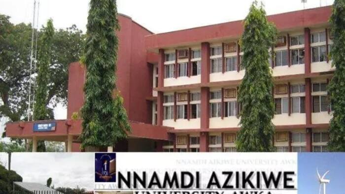Full list of courses offered by Nnamdi Azikiwe University for 2022/2023