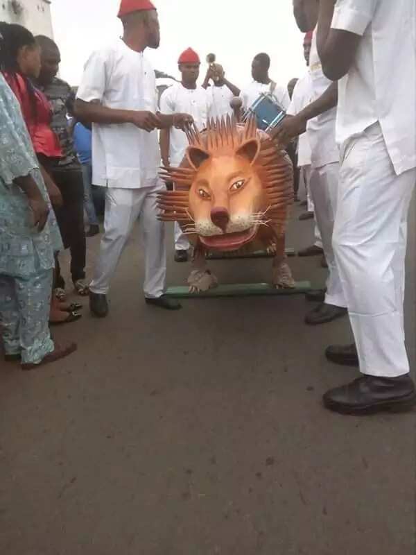 Rich man buried in a lion-like coffin in Enugu (photos)