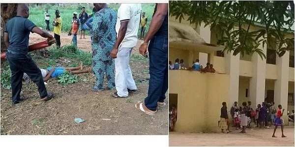 JSS2 student and only surviving member of his family falls from a mango tree and dies in Imo State