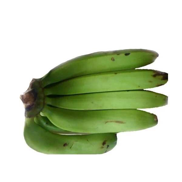 Unripe plantain health benefits