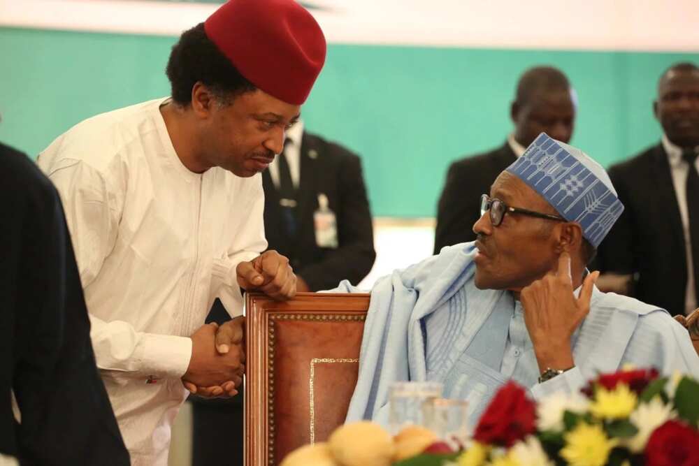 Ya kamata Buhari ya ba iyalan Yar’adua da sauransu hakuri – Shehu Sani