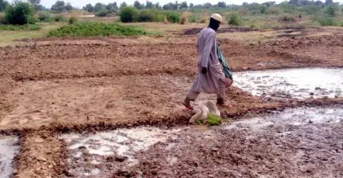 Nigeria faces no threat of famine – Agric Minister, Ogbeh