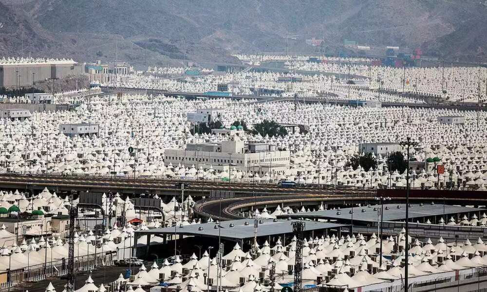 Muslims Gather At Mount Arafat To Mark Peak Of Hajj 2015