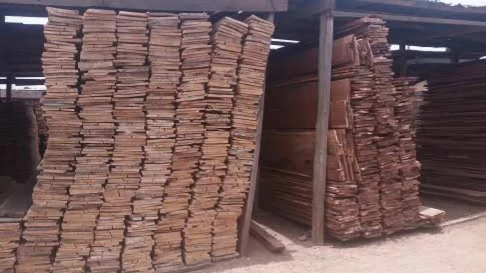 'Katsina's Igbo timber shade market'