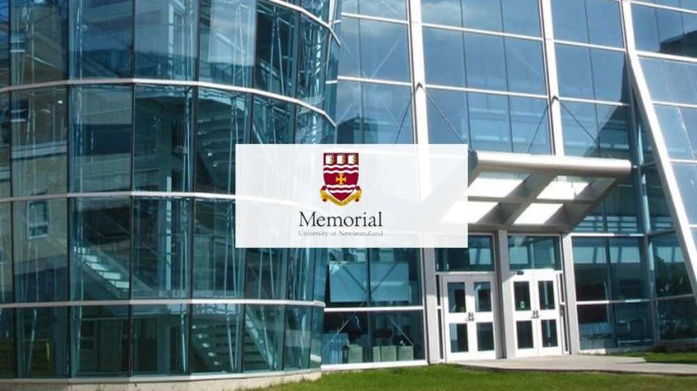 Memorial University of Newfoundland admission requirements for international students