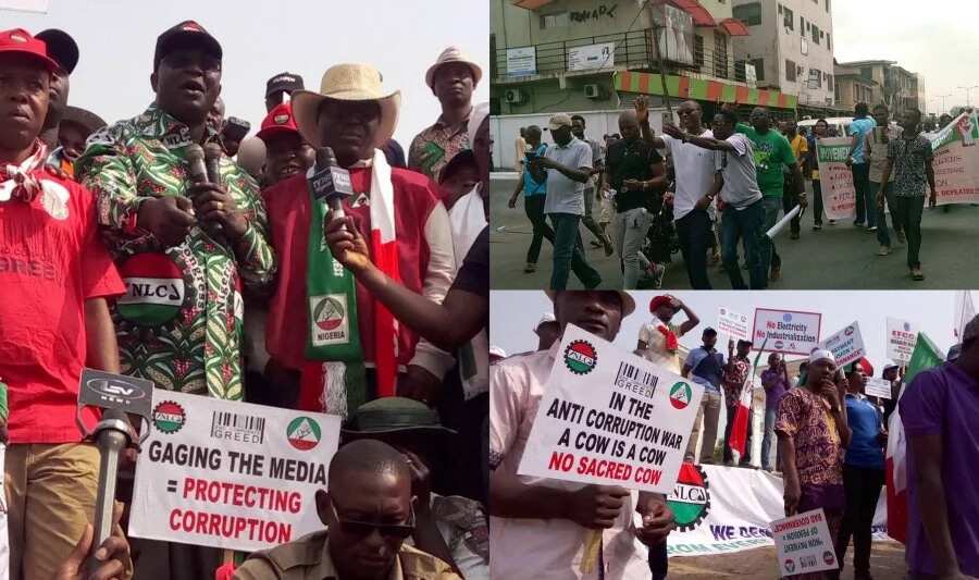 Live Updates: Charley Boy and Sahara Reporters, publisher join NLC leaders to lead Lagos labour protest