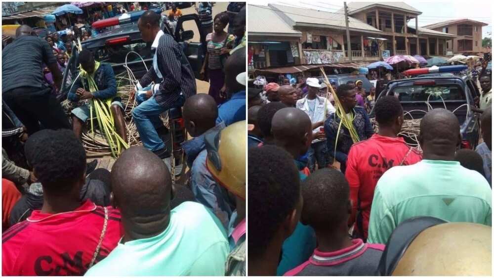 Thief caught Thief caught